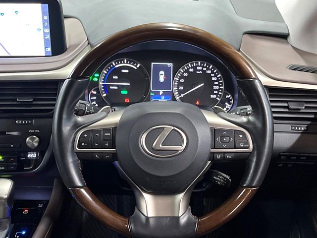 Lexus RX 11