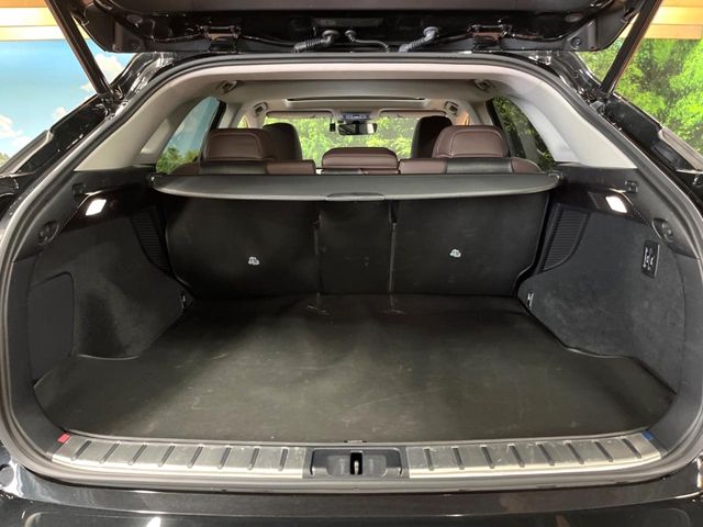 Lexus RX 10