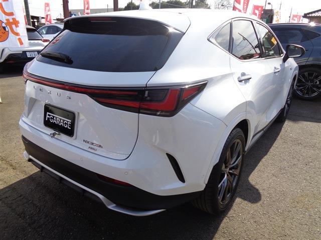 Lexus NX 8