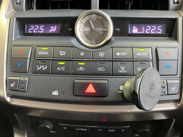 Lexus NX 12