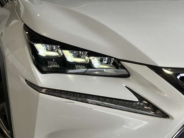 Lexus NX 4