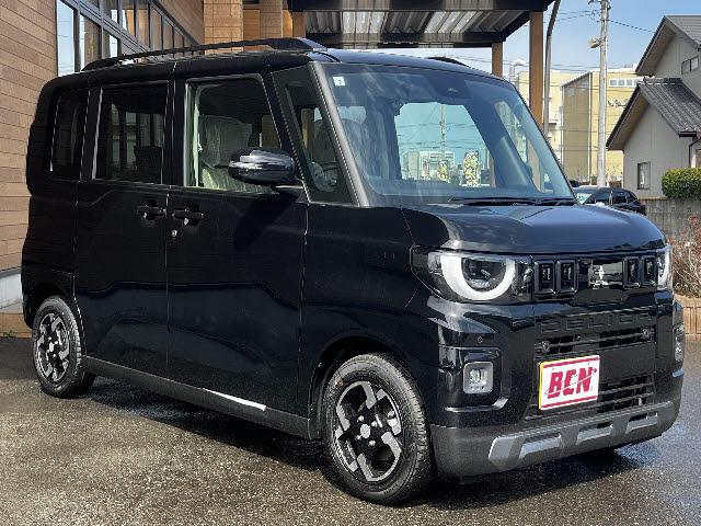 Mitsubishi Delica Mini 2