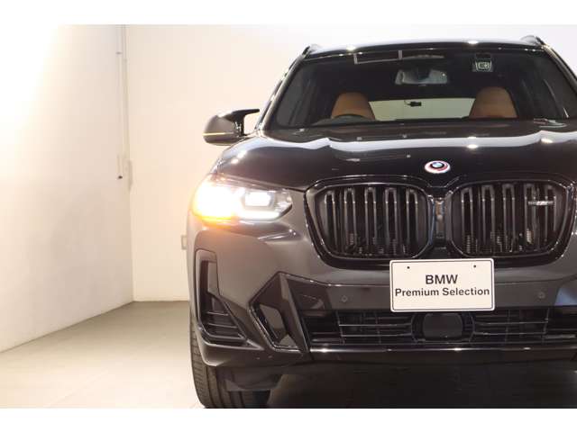 BMW X3 10