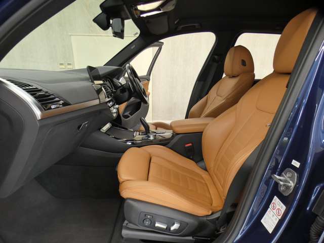 BMW X3 8