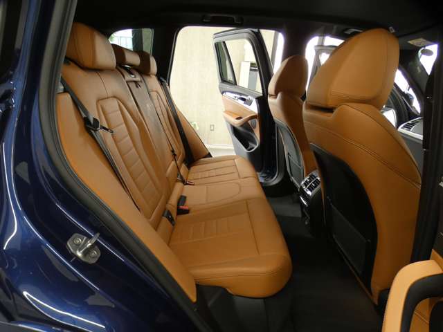 BMW X3 9