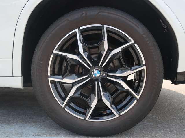 BMW X4 10