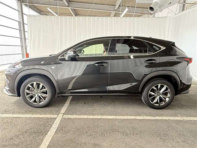 Lexus NX 6