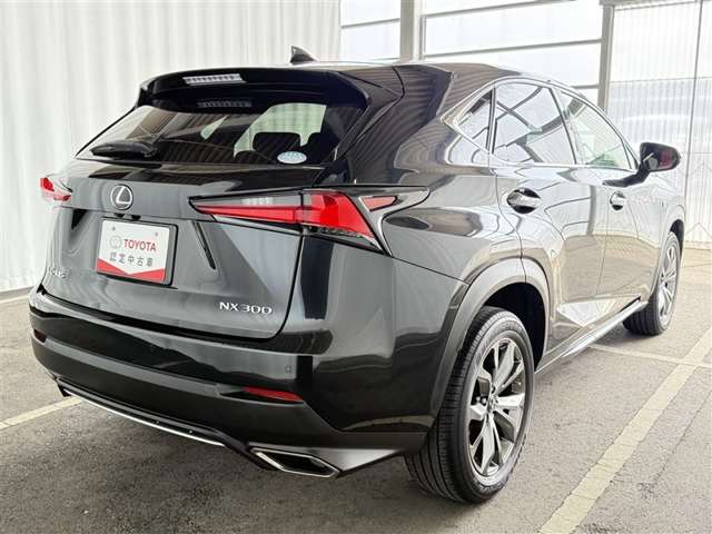 Lexus NX 7