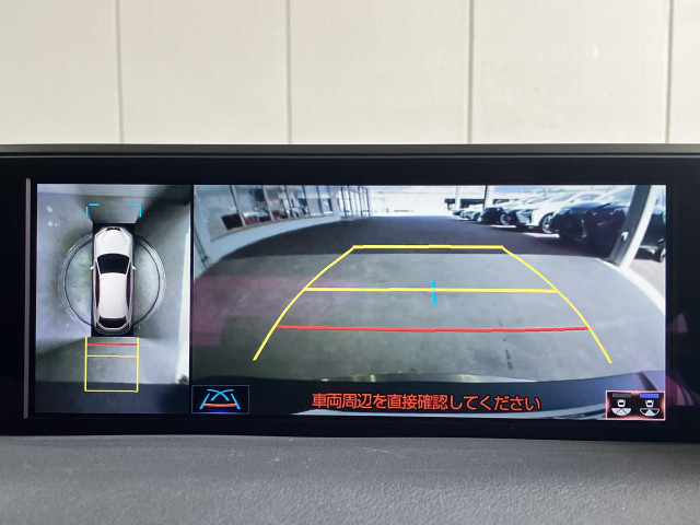 Lexus UX 10