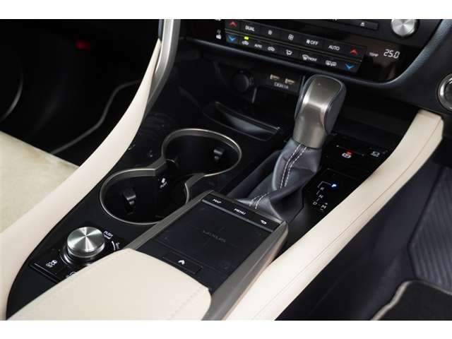 Lexus RX 11