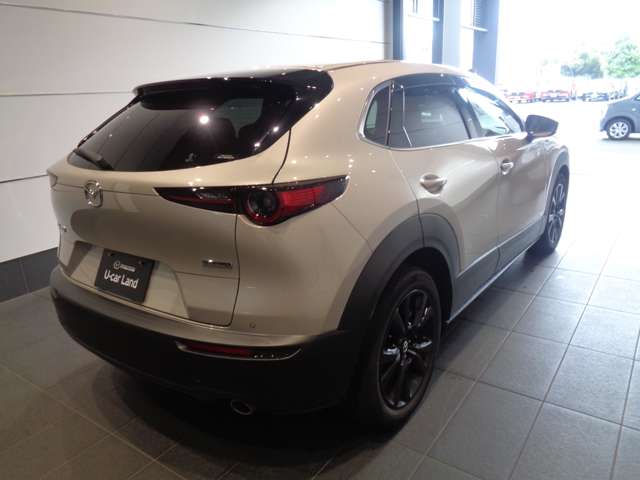 Mazda CX-30 6