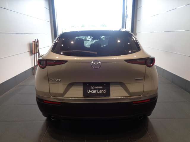 Mazda CX-30 7
