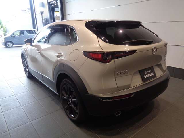 Mazda CX-30 8