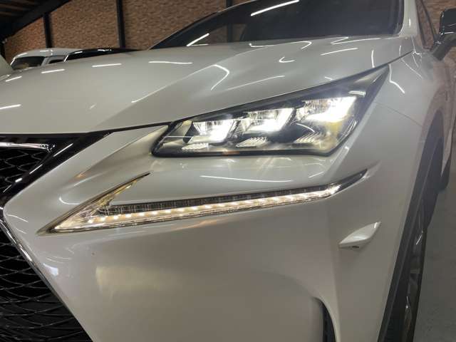Lexus NX 11
