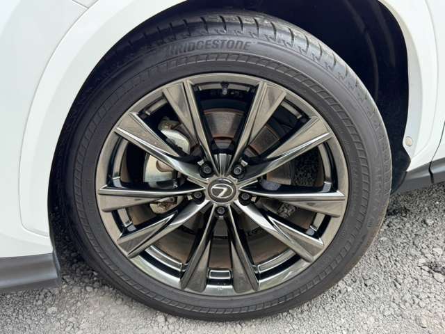 Lexus NX 11