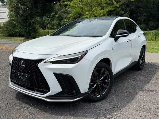 Lexus NX 9