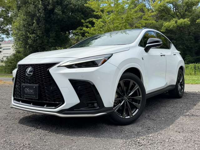 Lexus NX 10