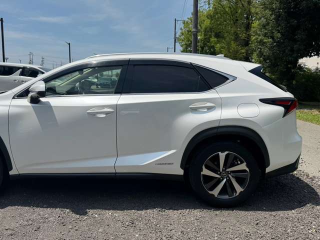 Lexus NX 12