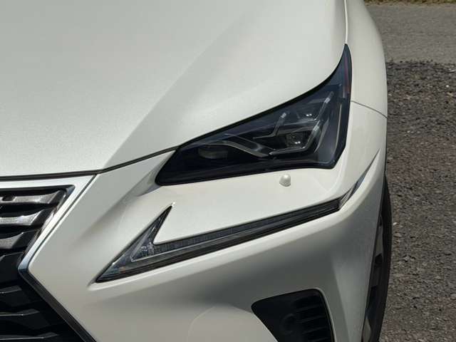 Lexus NX 4