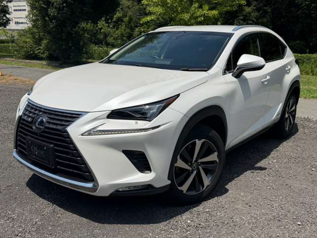 Lexus NX 6