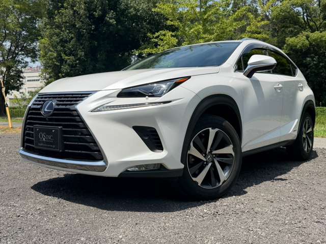 Lexus NX 7