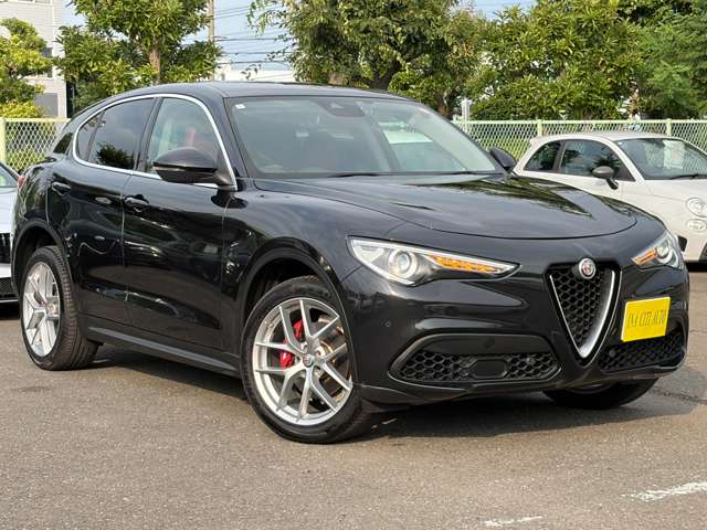 Alfa Romeo Stelvio 12