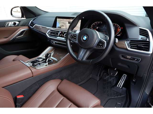 BMW X6 10