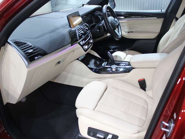 BMW X4 10