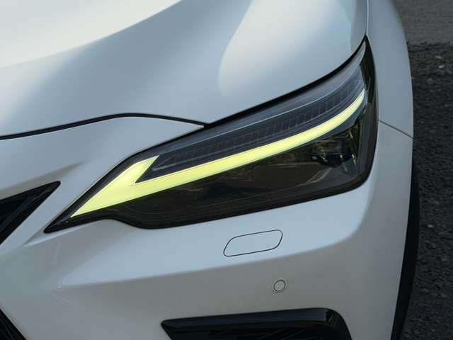 Lexus NX 7