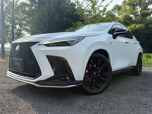 Lexus NX 10