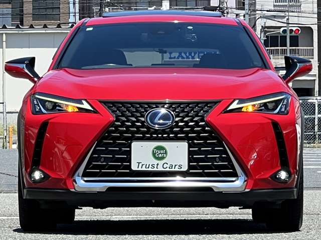 Lexus UX 11