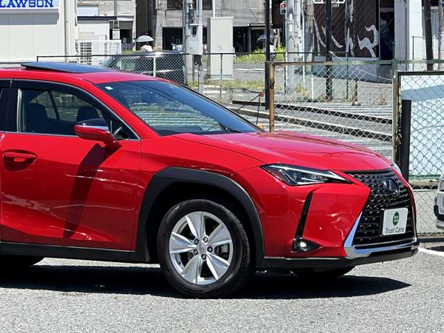 Lexus UX 12