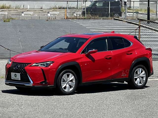 Lexus UX 7