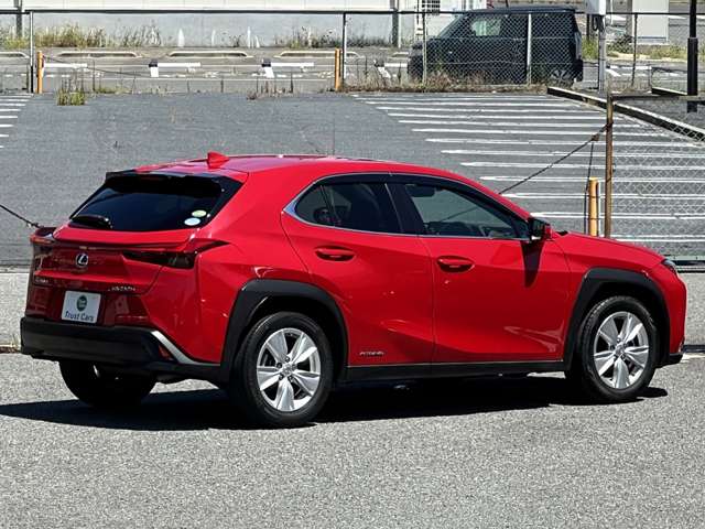 Lexus UX 9