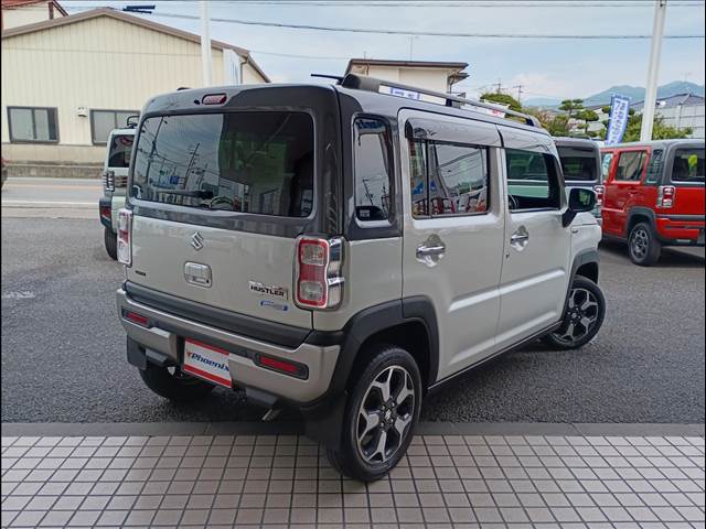 Suzuki Hustler 3