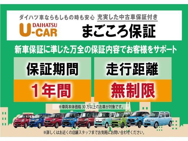 Daihatsu Taft 11