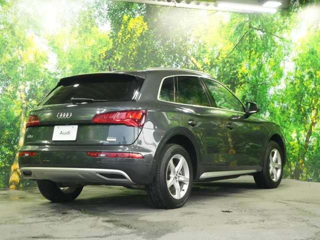 Audi Q5 12