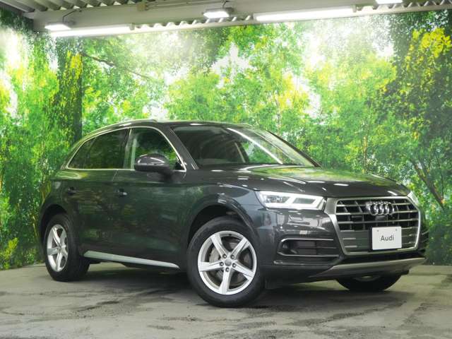 Audi Q5 6
