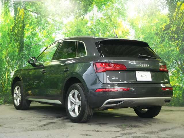 Audi Q5 10