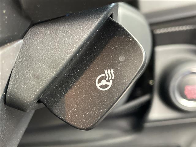 Subaru Crosstrek 7
