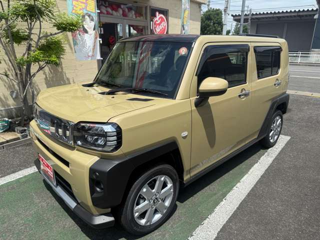 Daihatsu Taft 9