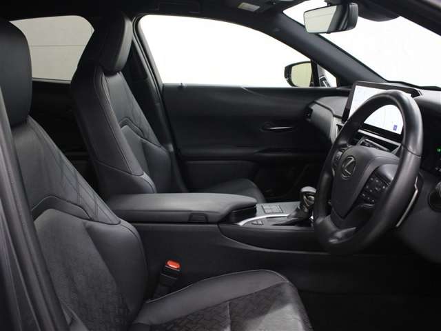 Lexus UX 10