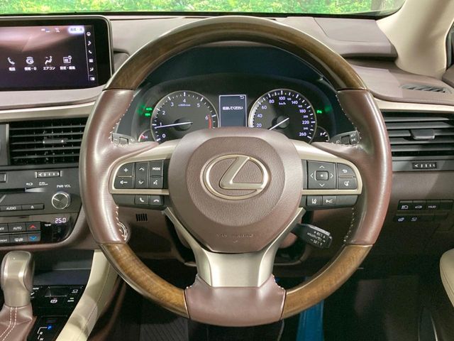 Lexus RX 11