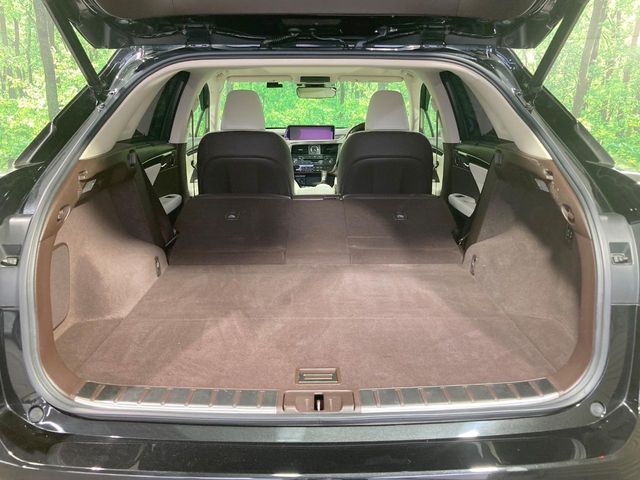 Lexus RX 10