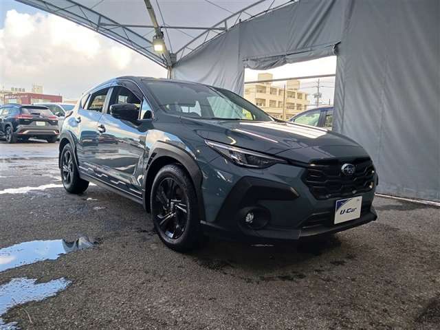 Subaru Crosstrek 8