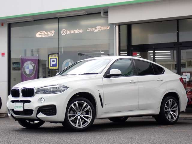 BMW X6 7