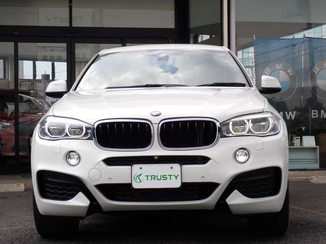 BMW X6 9