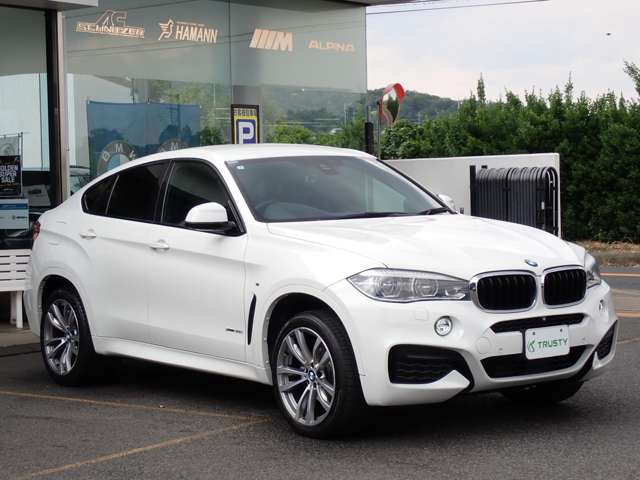 BMW X6 10