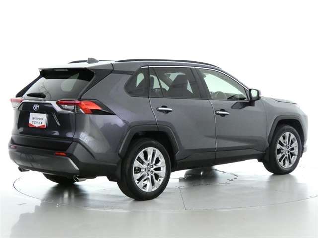 Toyota RAV4 6