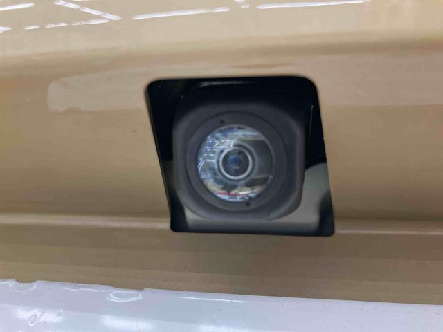 Daihatsu Taft 6